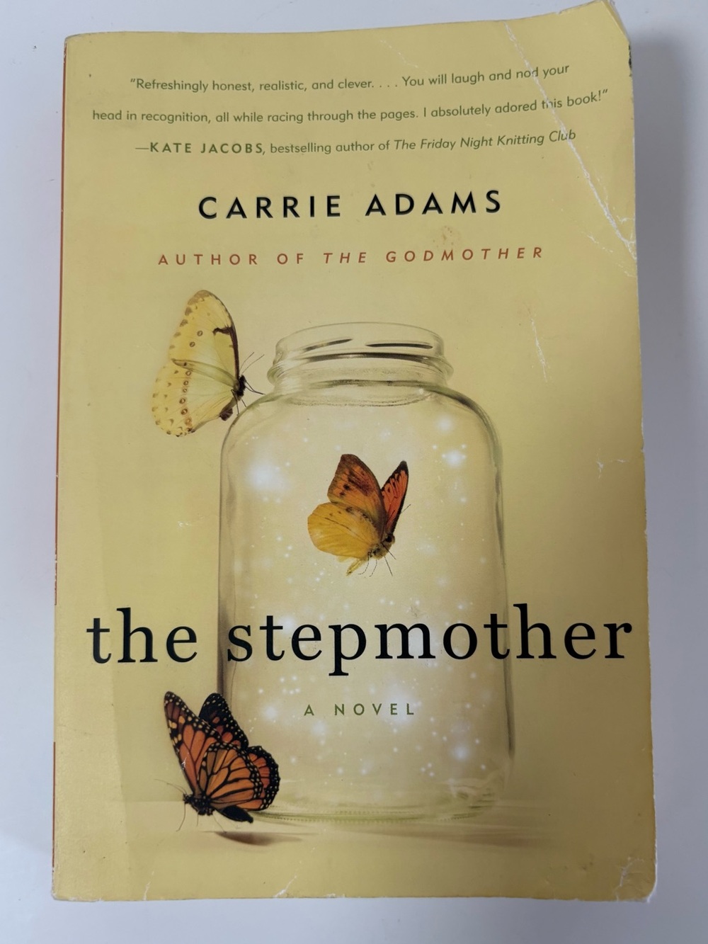 The Stepmother By Carrie Adams Paperback Novel Book